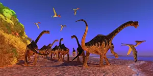 Pterosaur: Herd of Europasaurus dinosaurs walking down a
