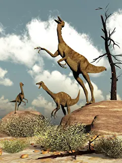 Howling: Herd of Gallimimus dinosaurs in the desert