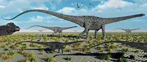 Migrating: A herd of giant Diplodocus dinosaurs on the move