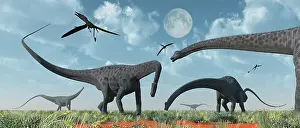 Diplodocus: A herd of giant Diplodocus dinosaurs grazing
