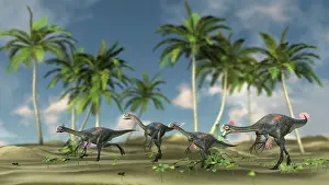 Maniraptora: Herd of Gigantoraptors