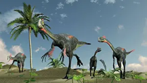 Maniraptora: Herd of Gigantoraptors running