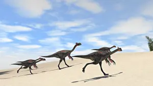 Maniraptora: Herd of Gigantoraptors running across desert terrain