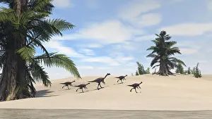 Tempskya: Herd of Gigantoraptors walking along the shore