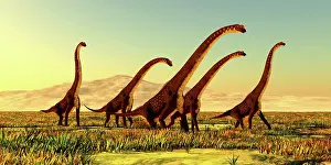 Plains: A herd of Giraffatitan dinosaurs travel through