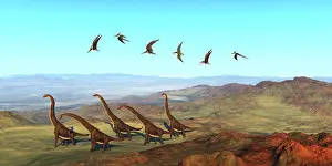 Pteranodon: A herd of Giraffatitan dinosaurs on their yearly