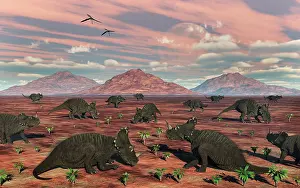 Apertus: A herd of herbivorous Centrosaurus dinosaurs