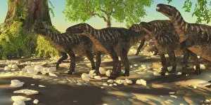 Iguanodont: A herd of herbivorous Iguanodon dinosaurs