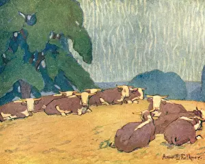 Falkner: A Herd Of Herefords