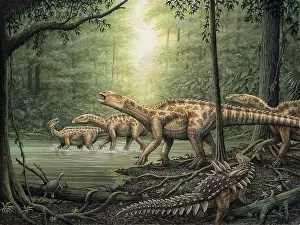 Ankylosauria: Herd of Iguanodon dinosaurs in forest, with an