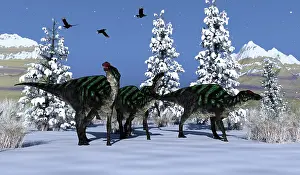 Vulture: A herd of Maiasaura dinosaurs migrating to warmer