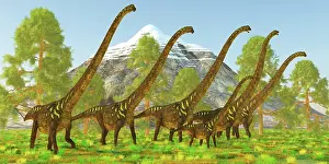Offspring: A herd of Mamenchisaurus dinosaurs from the late