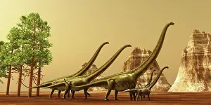 Mamenchisaurus: A herd of Mamenchisaurus dinosaurs migrate to better ?