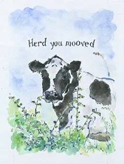 Bernice: Herd you mooved - a black and white cow