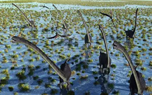 Omeisaurus: A herd of Omeisaurus dinosaurs on the move