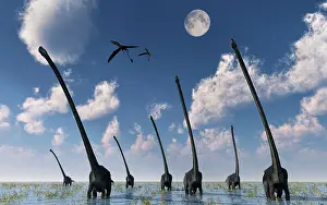 Omeisaurus: A herd of Omeisaurus dinosaurs on the move