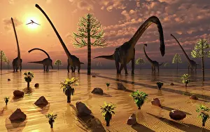 Omeisaurus: A herd of Omeisaurus dinosaurs grazing