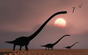 Backlit: A herd of Omeisaurus dinosaurs silhouetted against
