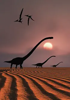 Rippled: A herd of Omeisaurus dinosaurs silhouetted against