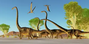 Titanosaurus: A herd of Omeisaurus dinosaurs traveling through a Jurassic