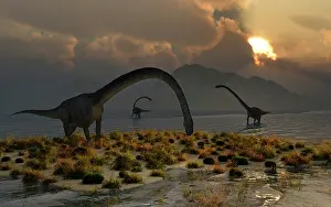 Omeisaurus: A herd of Omeisaurus sauropod dinosaurs grazing