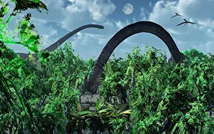 Omeisaurus: A herd of Omeisaurus sauropod dinosaurs grazing