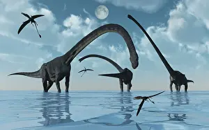 Freshness: A herd of Omeisaurus sauropod dinosaurs in shallow water