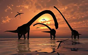 Rippled: A herd of Omeisaurus sauropod dinosaurs in shallow water