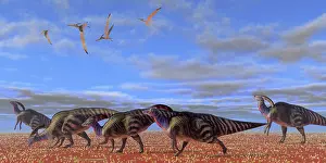 Searching: A herd of Parasaurolophus dinosaurs