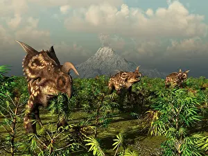 Einiosaurus: A herd of plant-eating Einiosaurus roam the plains