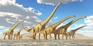 Sauroposeidon: A herd of Sauroposeidon dinosaurs