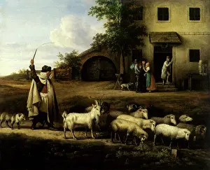 Neder: Herd of Sheep