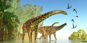 Pterosaur: A herd of Spinophorosaurus dinosaurs with Dorygnathus