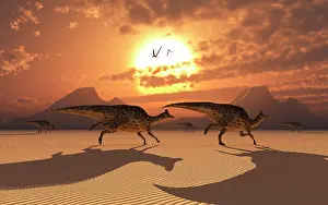 Lambeosaurinae: A herd of Velafrons Hadrosaur dinosaurs during the ?