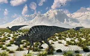 Lambeosaurinae: A herd of Velafrons hadrosaurid dinosaurs during the ?