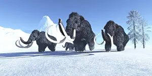 Mastodon: A herd of woolly mammoths make their way across