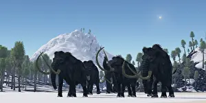 Clear: A herd of Woolly Mammoths migrate to a warmer climate in ?