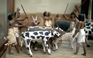 Practices: Herding cattle. Ancient Egyptian tomb model. Cairo