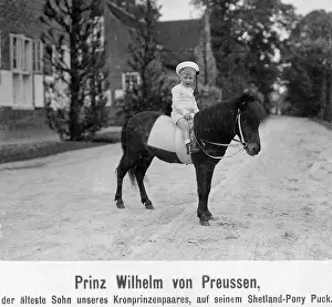 Ponies: Hereditary Prince Wilhelm of Prussia, 1908