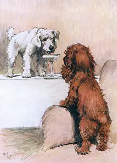 Lapping: Here's How by Cecil Aldin