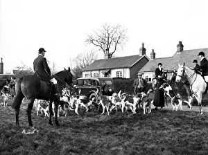 Herfordshire: HERFORDSHIRE FOX HUNT