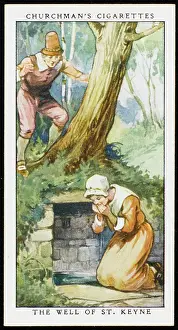 Mastery: Herholy Well of St Keyne