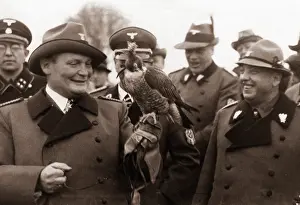 Falconry: Hermann Goring, 1930s
