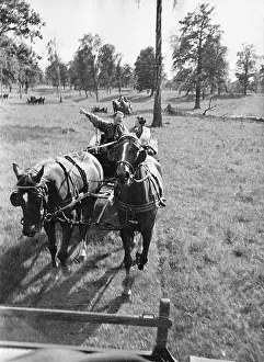 Schorfheide: Hermann Goring during a coach ride
