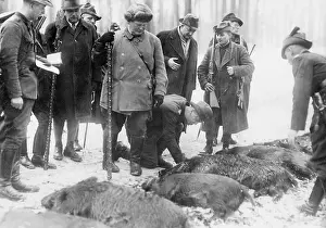 Boar: Hermann Goring, Konstantin von Neurath, Joszef Lipski on the