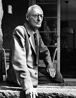 Mauer: Hermann Hesse