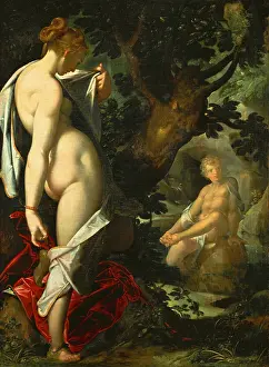 Hermaphroditus: Hermaphroditus