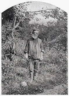 Seclusion: Hermit of Hainault Forest
