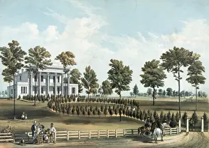Nashville: The Hermitage, Jackson's tomb, and Andrew J. Donelson's resi