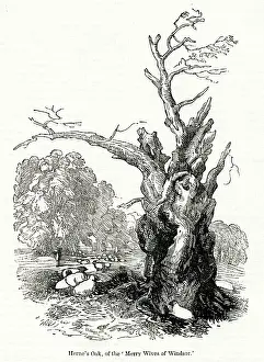 Herne: Herne's Oak, Windsor Great Park, Berkshire
